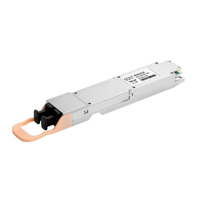 800G QSFP-DD 2×VR4